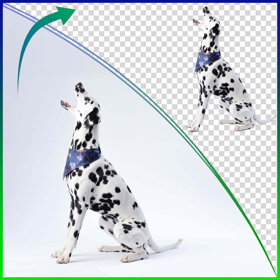 Background Removal sample 30